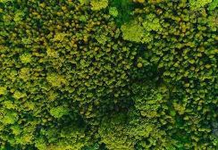 BRANDACK Events: Where Purpose Meets Packaging - Our Commitment in Action