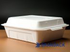 Restaurant Takeout Food Containers | Chinese Carry Out Boxes & Disposable To Go Food Trays with Lids