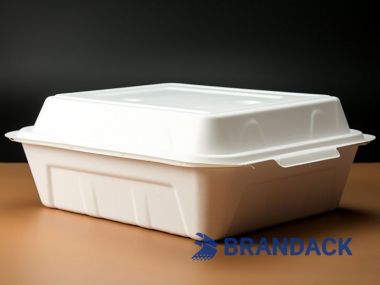 Restaurant Takeout Food Containers | Chinese Carry Out Boxes & Disposable To Go Food Trays with Lids