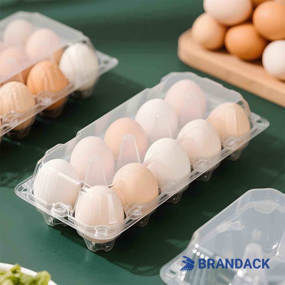 eggs boxes for sale