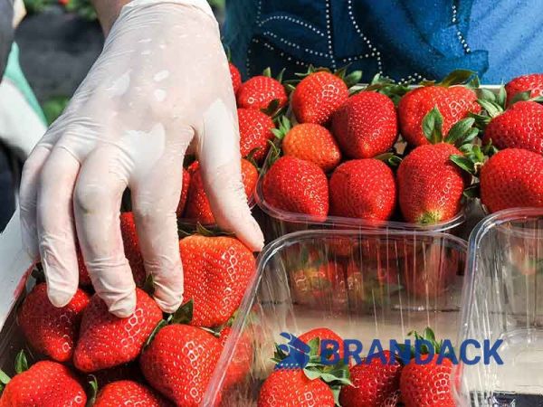 Sweet Success in Every Box: Strawberry Packaging Stories That Captivated Customers Strawberries aren’t just fruit - they’re moments of joy, tokens of love, and irresistible temptations. For brands that dared to package them brilliantly, the results were extraordinary. Here’s how our bespoke strawberry packaging solutions turned everyday gifting into unforgettable experiences: