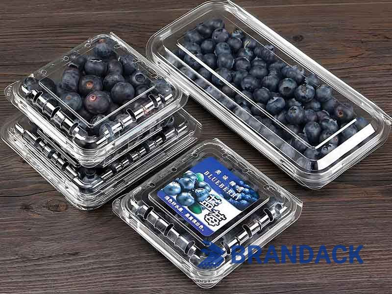 Blueberry Fruit Packaging Boxes, 5 10 LB Blueberry Plastic Packaging Containers, Custom Package of Blueberries