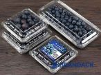 Blueberry Fruit Packaging Boxes, 5 10 LB Blueberry Plastic Packaging Containers, Custom Package of Blueberries