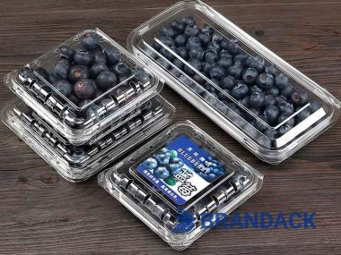 Blueberry Fruit Packaging Boxes, 5 10 LB Blueberry Plastic Packaging Containers, Custom Package of Blueberries