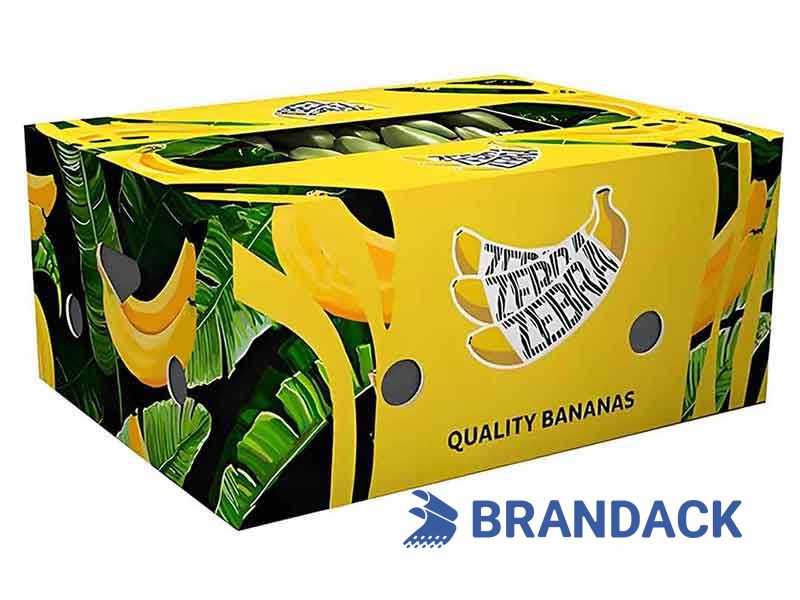 Banana Carton Packaging Boxes for Moving & Export, Custom Cardboard Banana Variety Pack Box