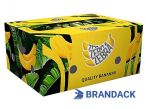 Banana Carton Packaging Boxes for Moving & Export, Custom Cardboard Banana Variety Pack Box