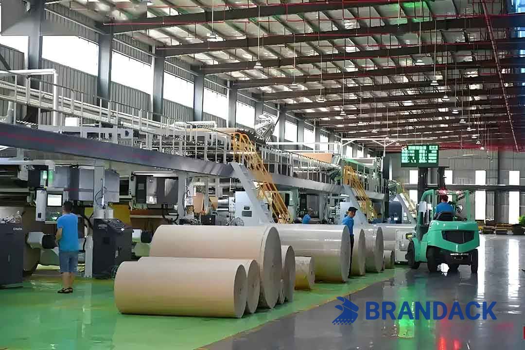 Custom Package Boxes and Bags Printing with Design Service