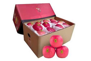 Fruit Packaging Solutions Cardboard Shipping Boxes Supplies