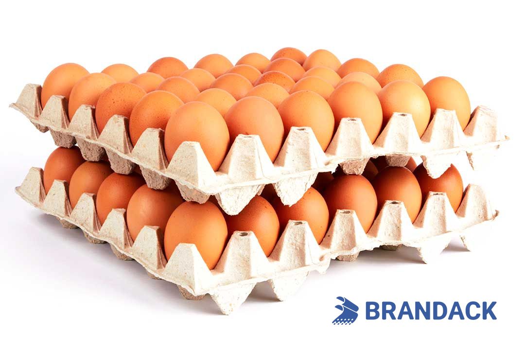 Custom Printed Egg Box Cartons Bulk with Flat Tray Packaging