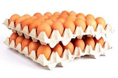 Custom Printed Egg Box Cartons Bulk with Flat Tray Packaging