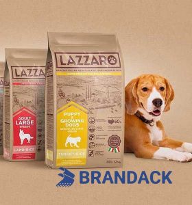 Pet Dog Food Packaging & Design Service