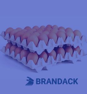 Custom Printed Egg Carton Boxes with Flat Tray Packaging