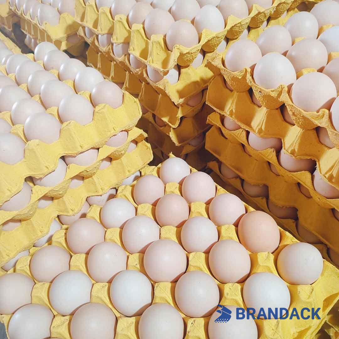 corrugated carton box manufacturer