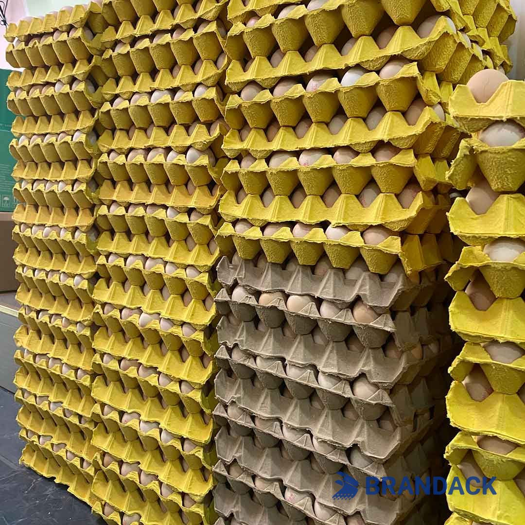 personalized egg carton