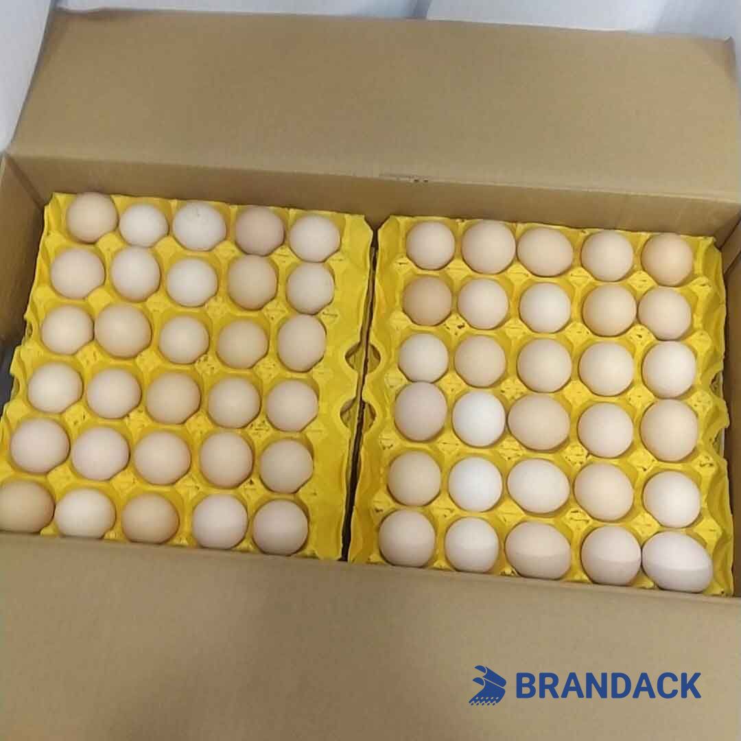 corrugated carton box manufacturer