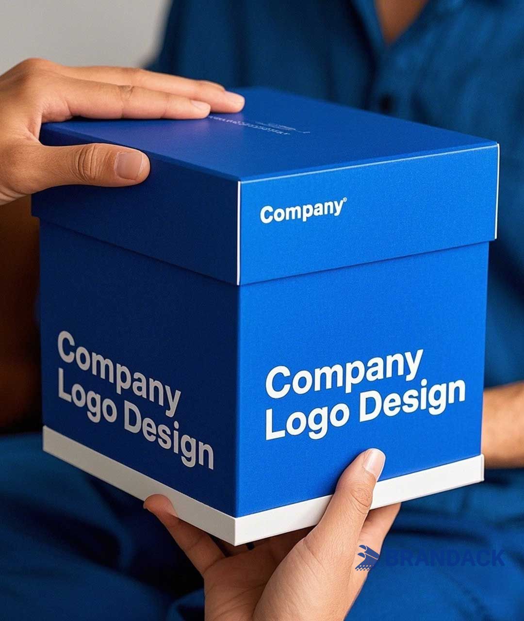 Company Logo Design Service Supplied by Graphic Design Agency BRANDACK