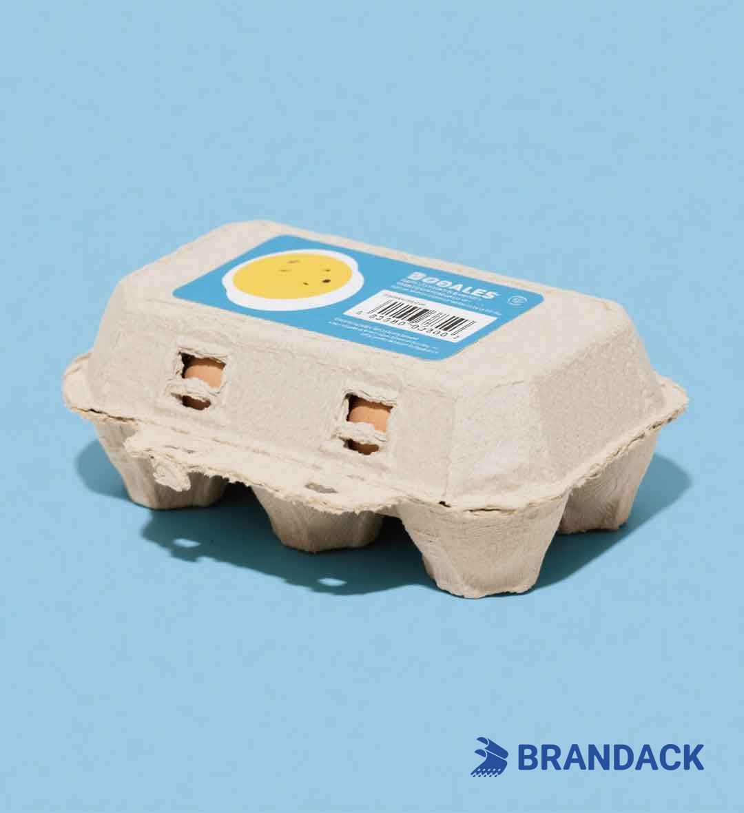 Custom Personalized Egg Carton Box Labels to Stand Out and Boost Sales