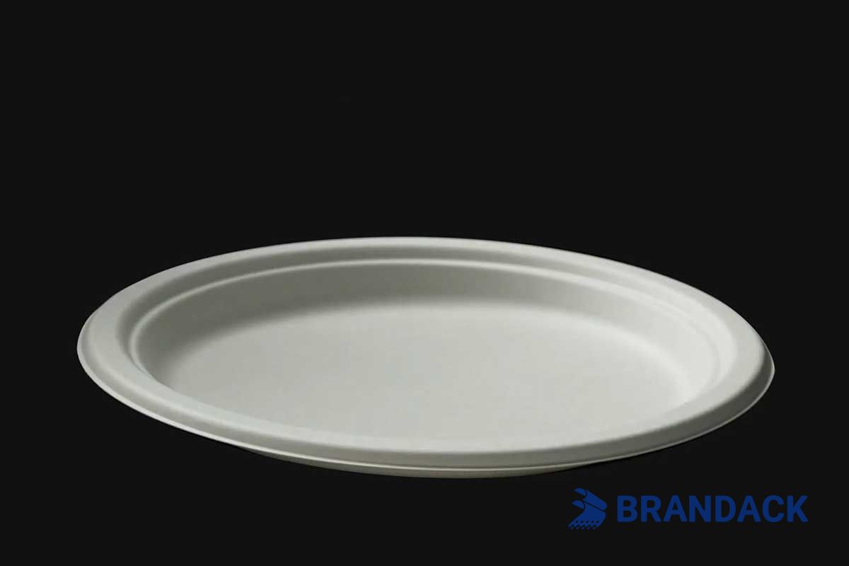 BRANDACK Events: Where Purpose Meets Packaging - Our Commitment in Action