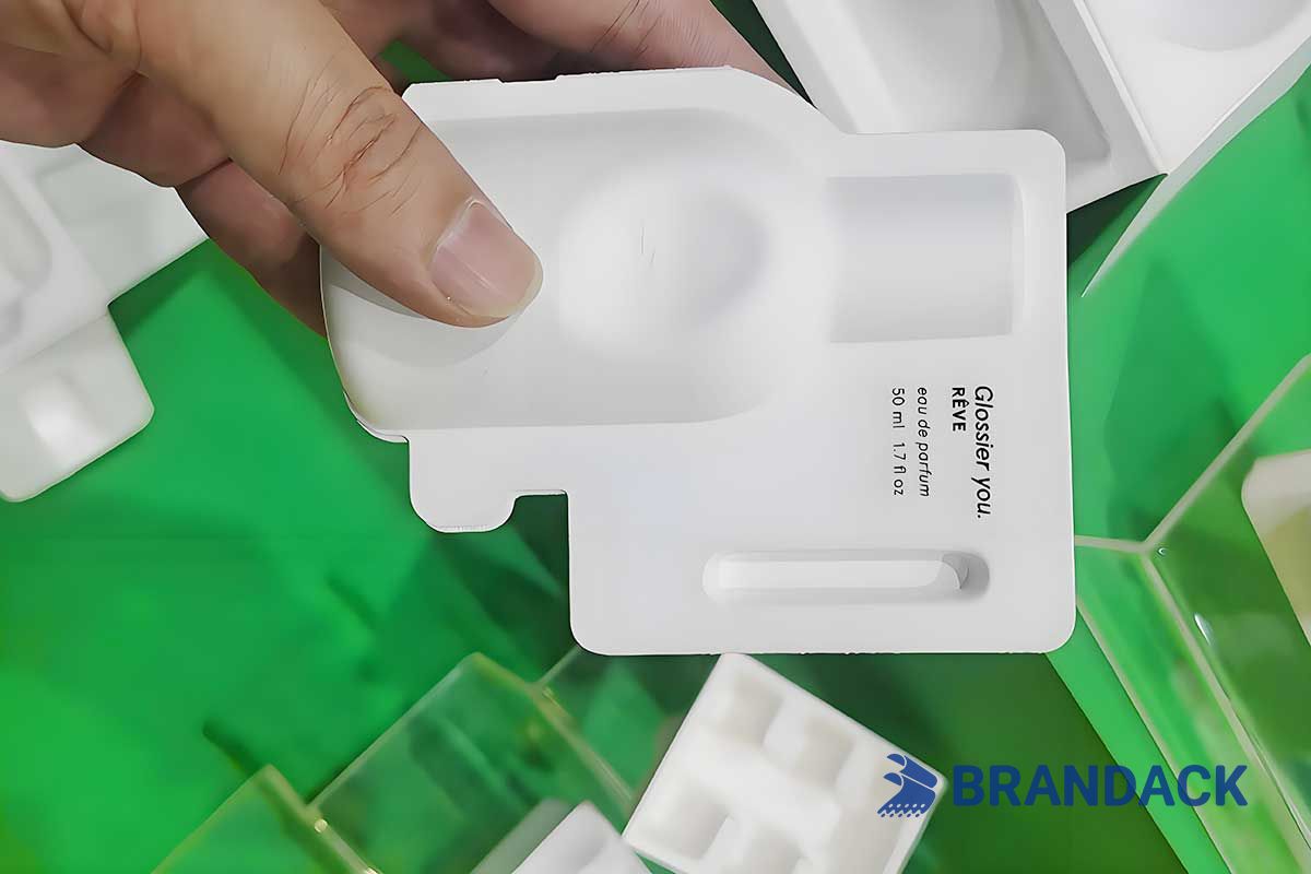Rooted in Change: The Rise of Plant Fiber Packaging Upgraded by BRANDACK