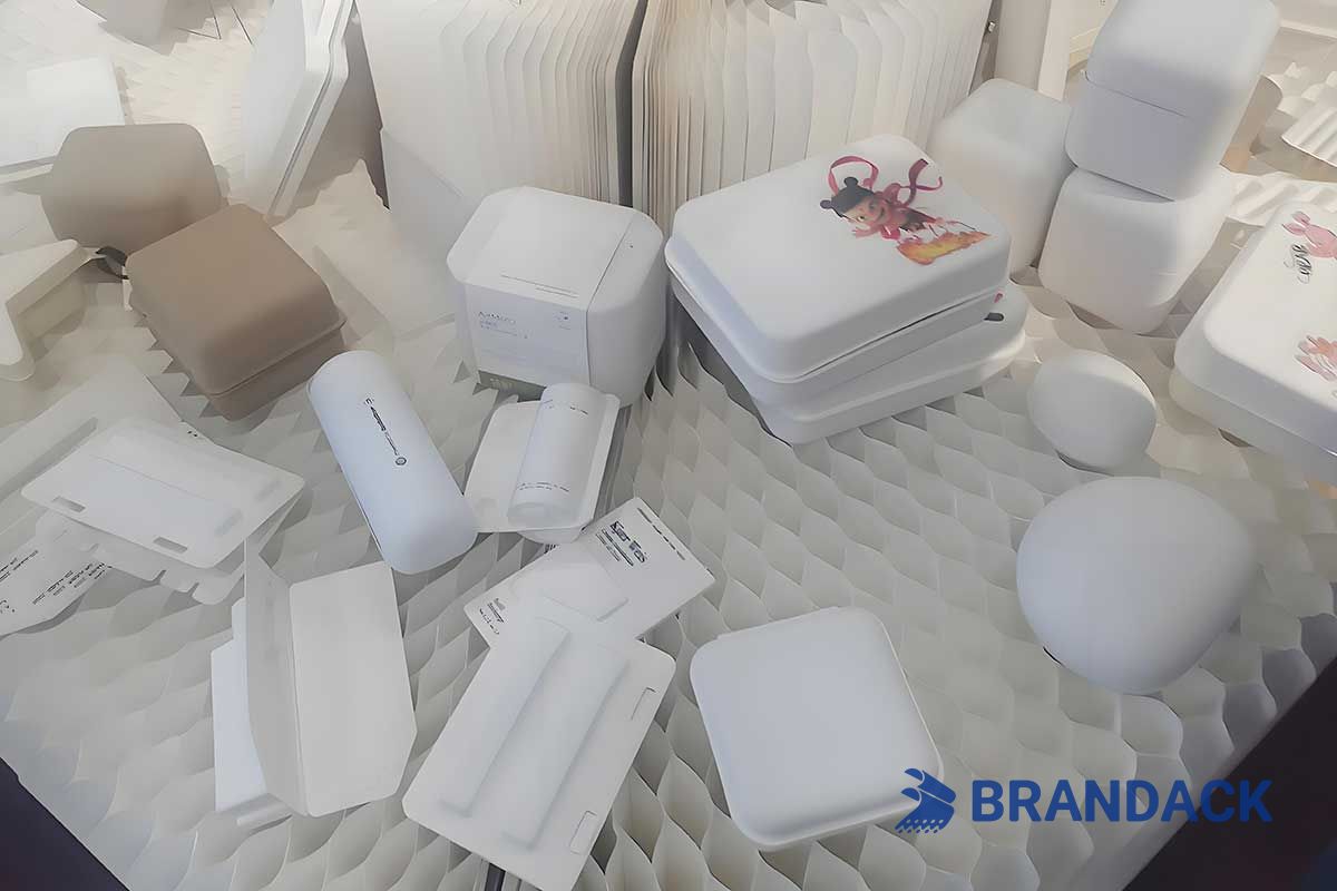 Rooted in Change: The Rise of Plant Fiber Packaging Upgraded by BRANDACK