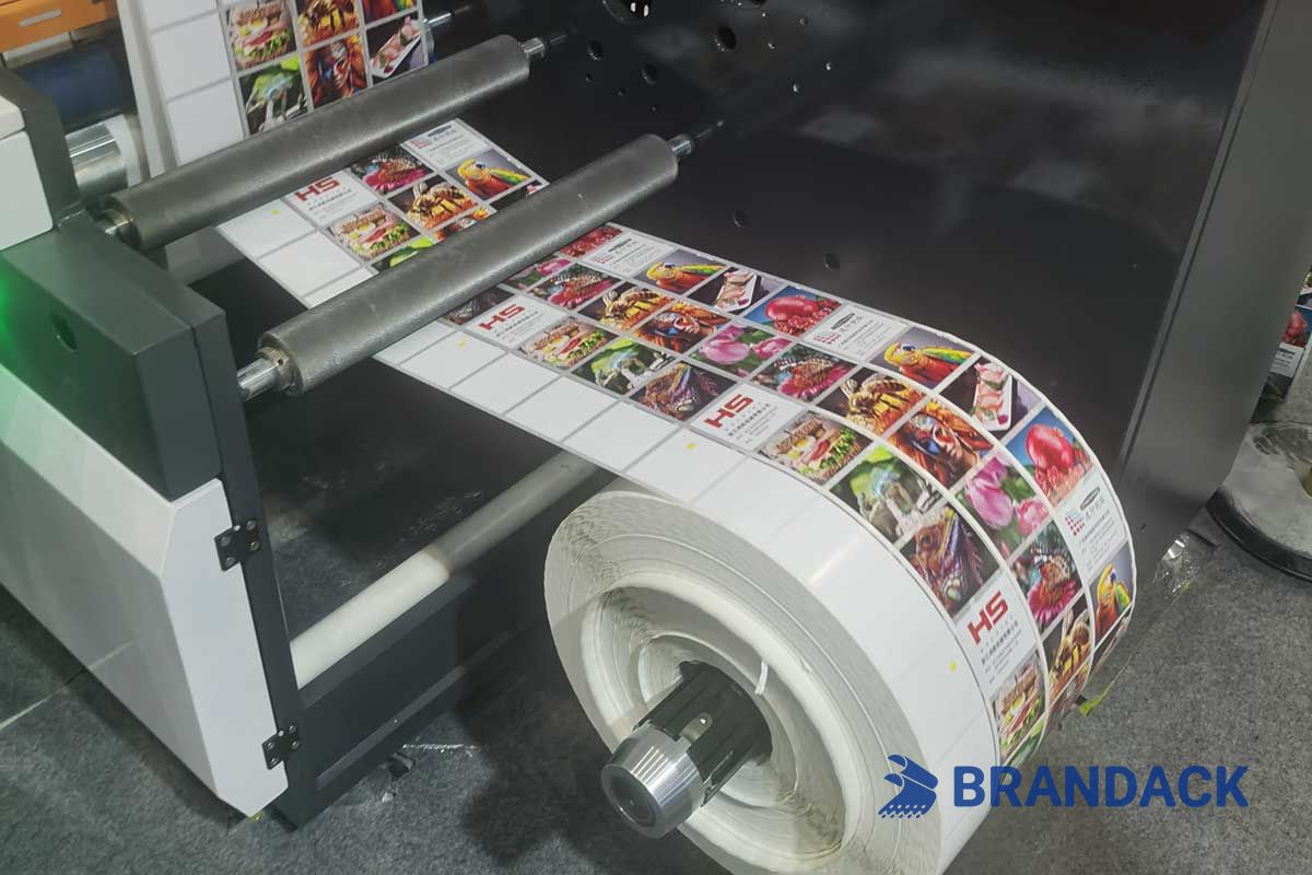 BRANDACK Shines at the South China Printing