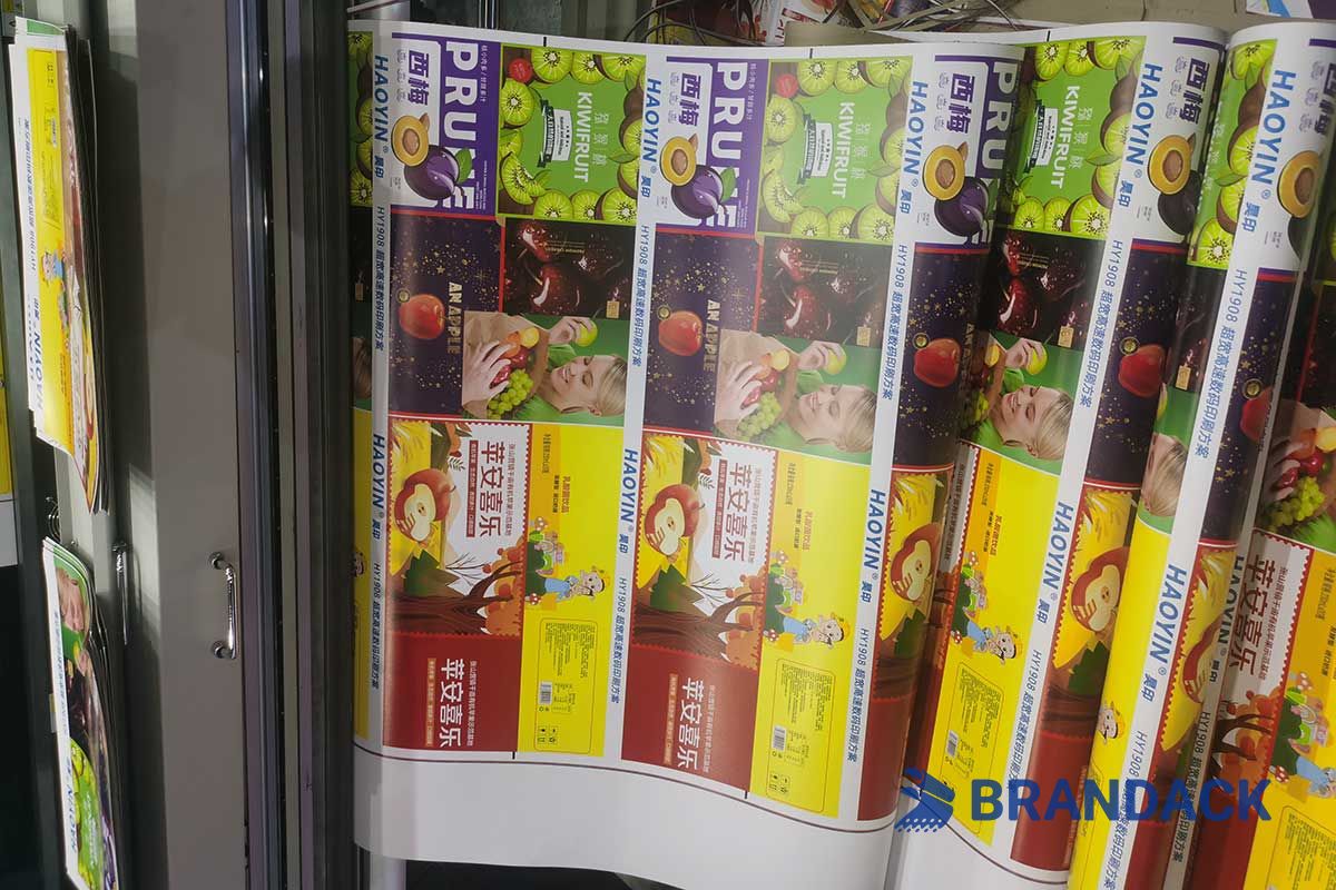 BRANDACK Shines at the South China Printing