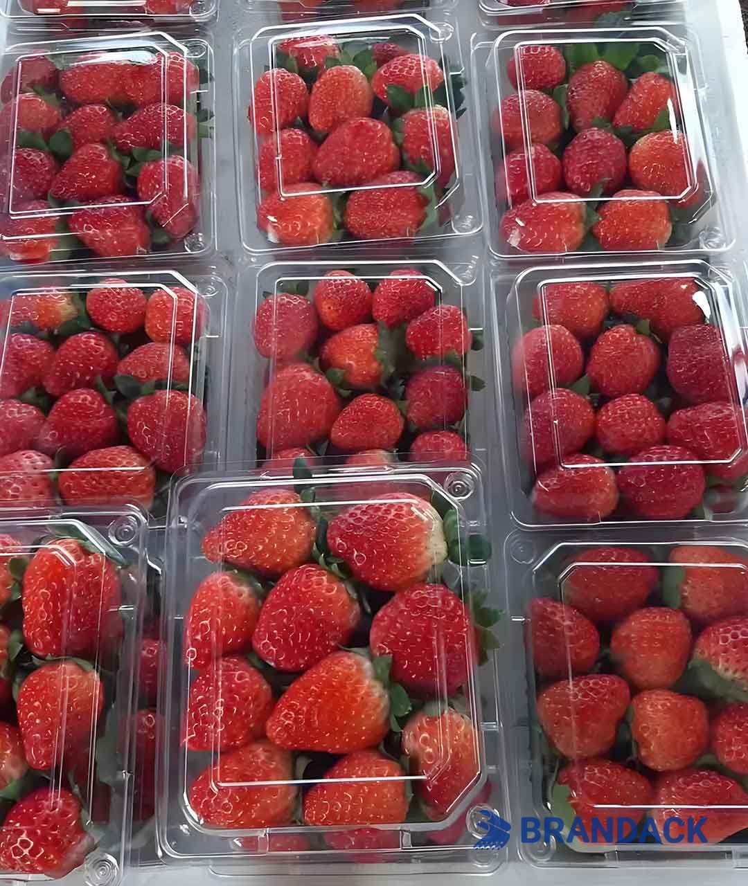 Strawberry Blister Packaging Boxes, Valentines Strawberry Gift Package Box, Strawberry Flat Carton Boxes Strawberry Blister Packaging Boxes, Valentines Strawberry Gift Package Box, Strawberry Flat Carton Boxes