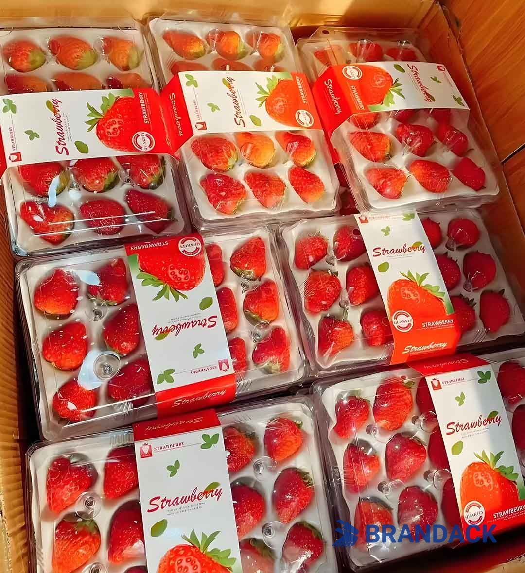 Strawberry Blister Packaging Boxes, Valentines Strawberry Gift Package Box, Strawberry Flat Carton Boxes Strawberry Blister Packaging Boxes, Valentines Strawberry Gift Package Box, Strawberry Flat Carton Boxes