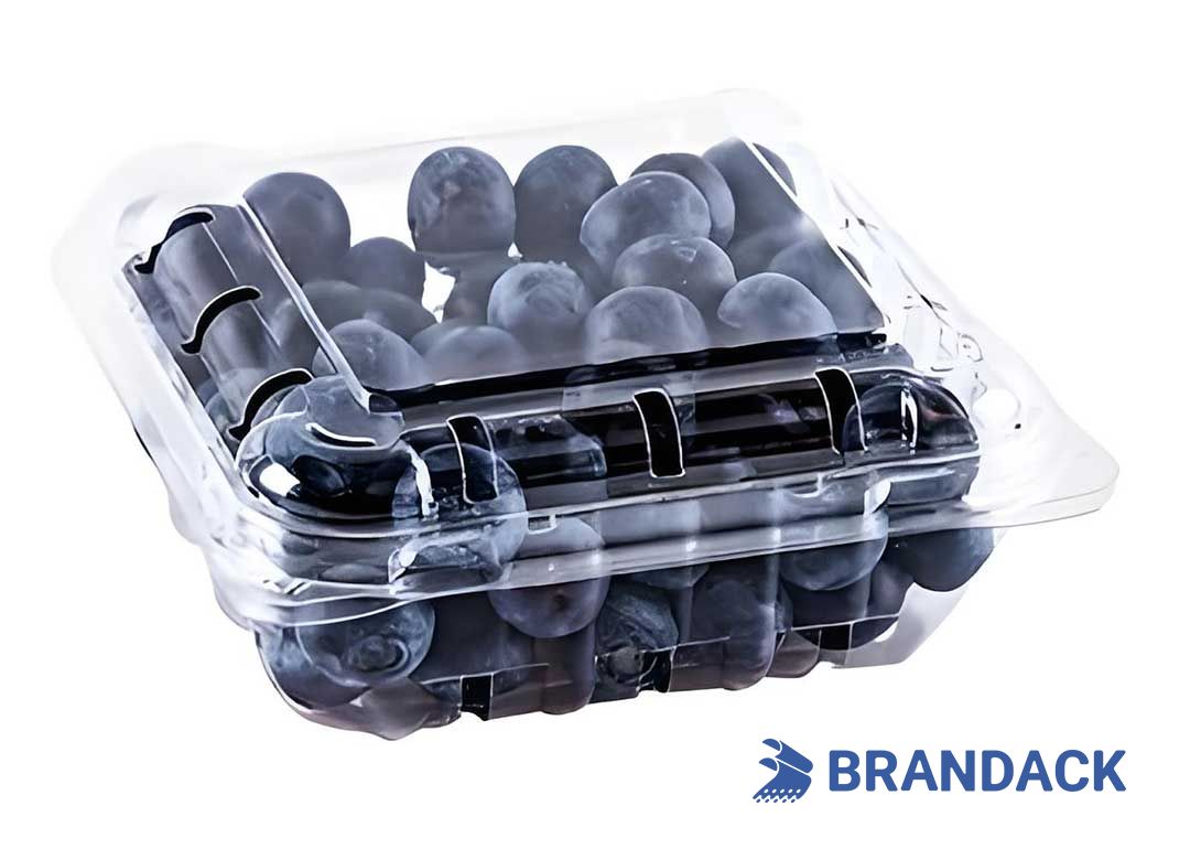 Blueberry Fruit Packaging Boxes, 5 10 LB Blueberry Plastic Packaging Containers, Custom Package of Blueberries