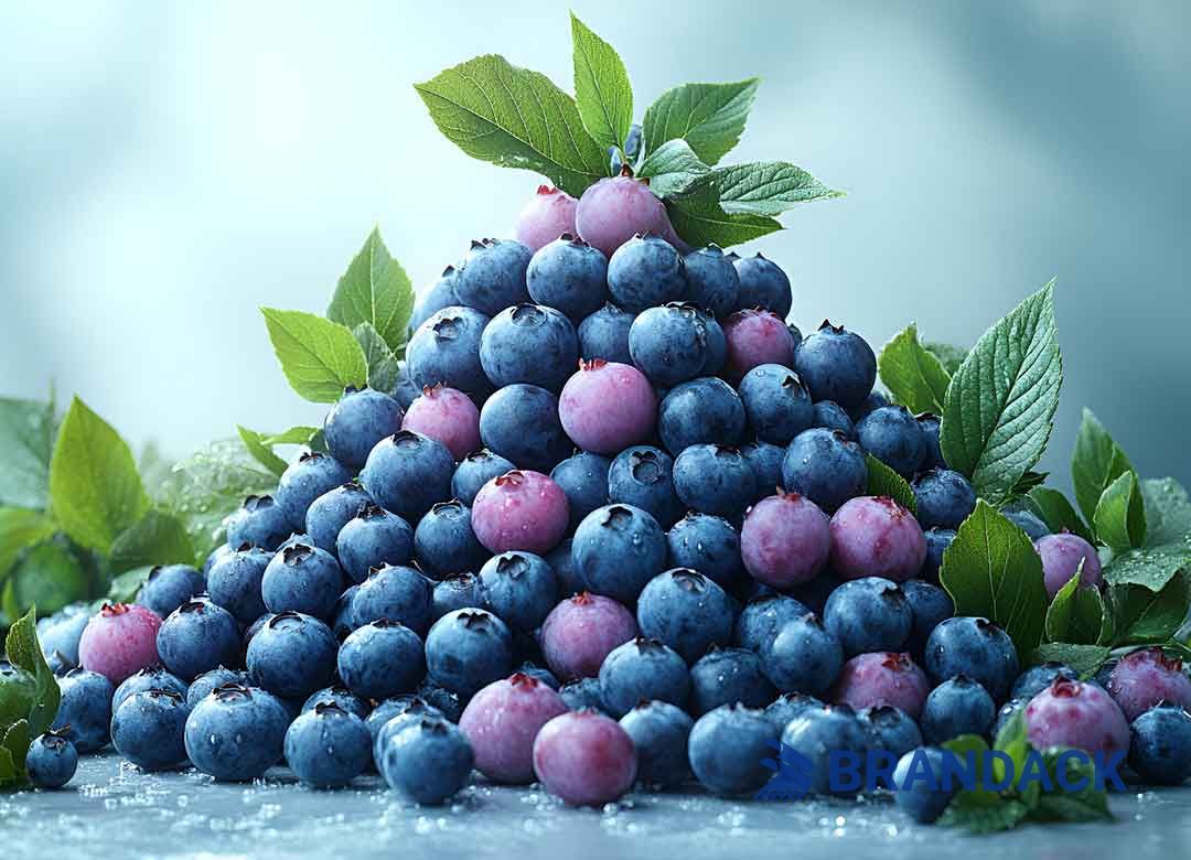 Blueberry Fruit Packaging Boxes, 5 10 LB Blueberry Plastic Packaging Containers, Custom Package of Blueberries