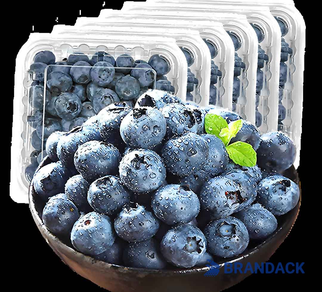 Blueberry Fruit Packaging Boxes, 5 10 LB Blueberry Plastic Packaging Containers, Custom Package of Blueberries