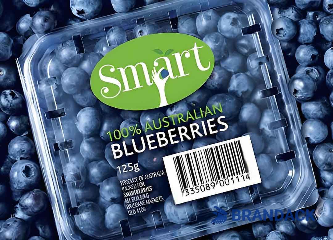 Blueberry Fruit Packaging Boxes, 5 10 LB Blueberry Plastic Packaging Containers, Custom Package of Blueberries