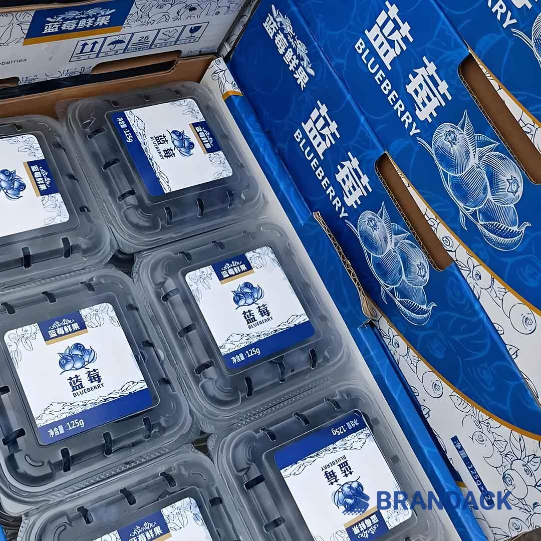 Blueberry Fruit Packaging Boxes, 5 10 LB Blueberry Plastic Packaging Containers, Custom Package of Blueberries