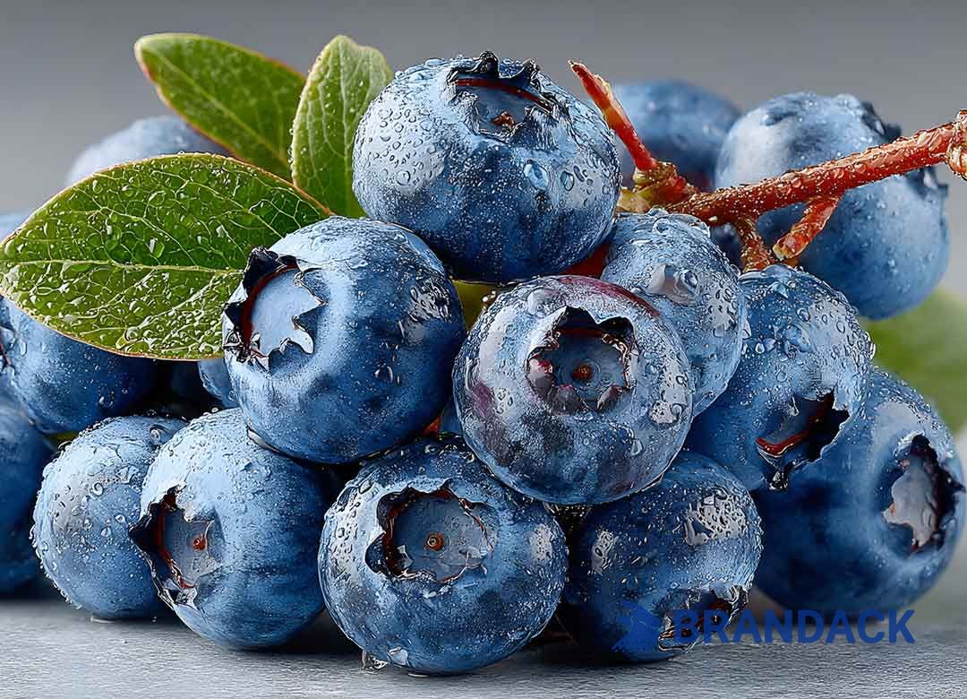Blueberry Fruit Packaging Boxes, 5 10 LB Blueberry Plastic Packaging Containers, Custom Package of Blueberries