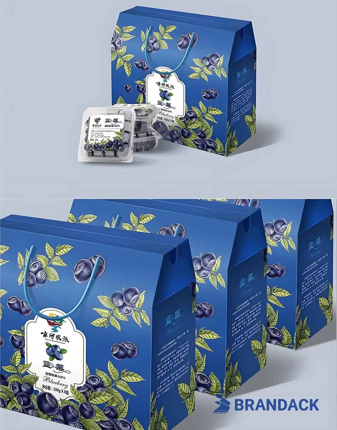 Blueberry Fruit Packaging Boxes, 5 10 LB Blueberry Plastic Packaging Containers, Custom Package of Blueberries