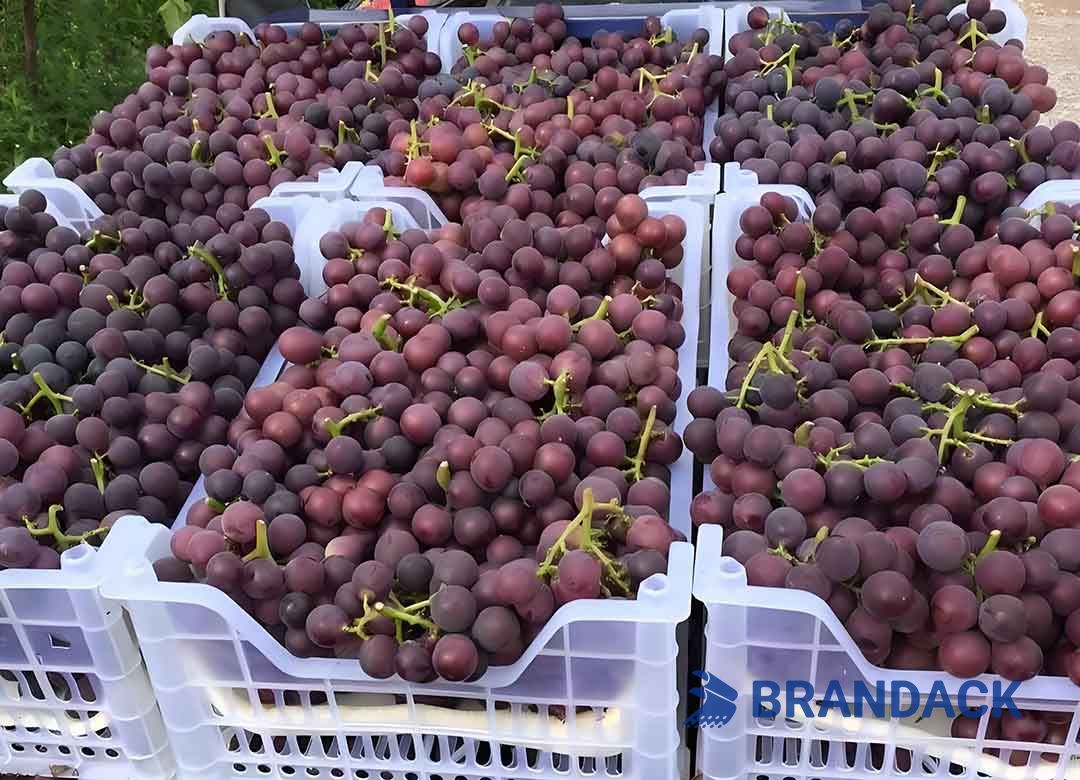 Custom Grape Fruit Packaging Boxes, Grape Packing Boxes for Moving