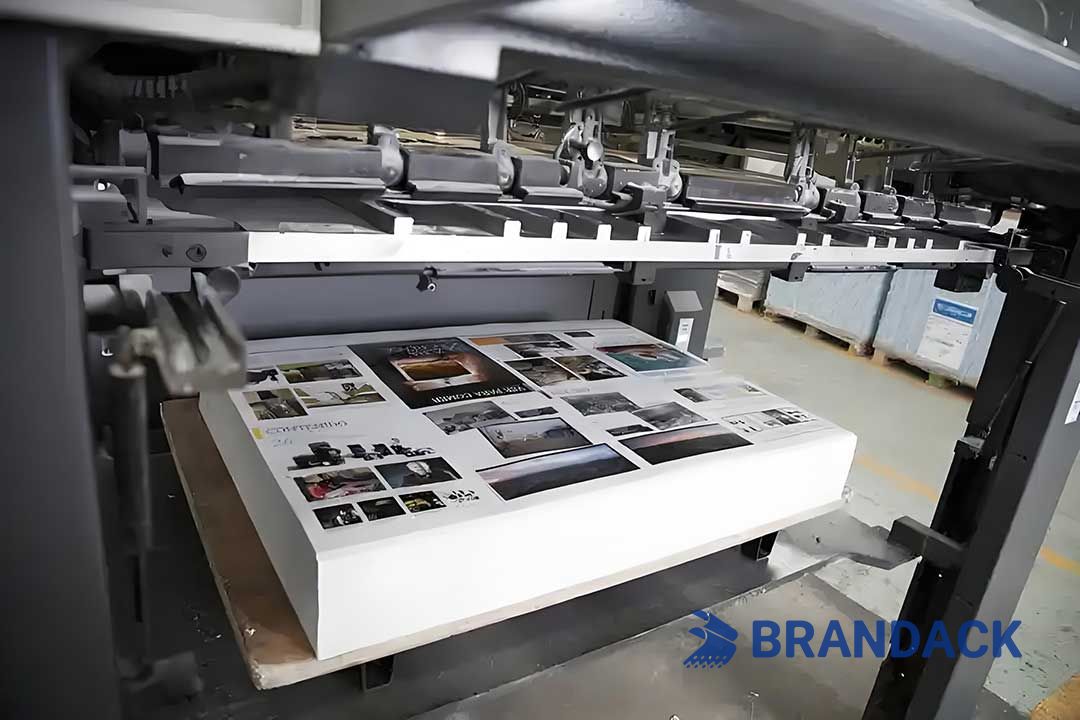 Custom Bulk Cheap Business Printing Services