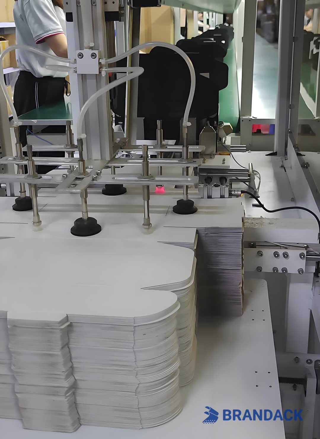 Custom Business Offset Printing Service and Design Solutions