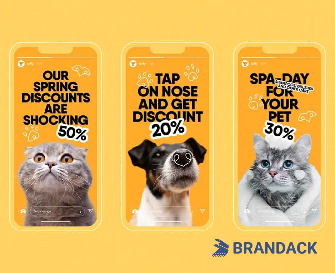 Pet Cat Food Packaging Pouches Kitten Snack Packet Solutions