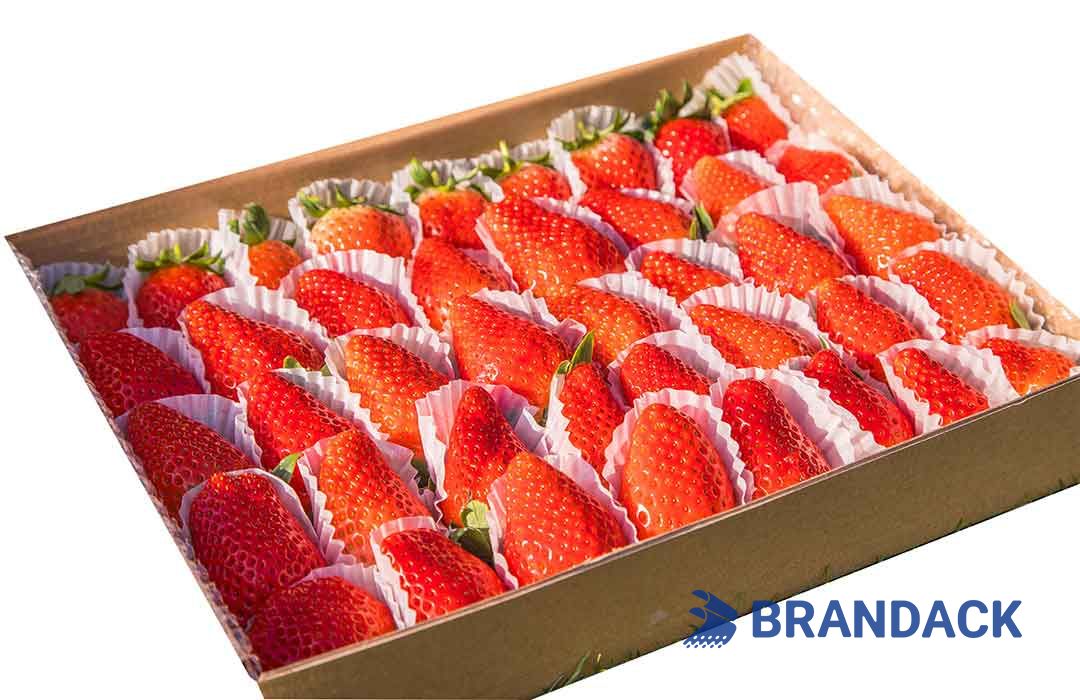 Fruit Packaging Solutions Cardboard Shipping Boxes Supplies