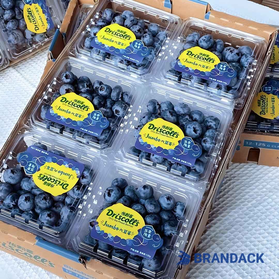 Fruit Packaging Solutions Cardboard Shipping Boxes Supplies