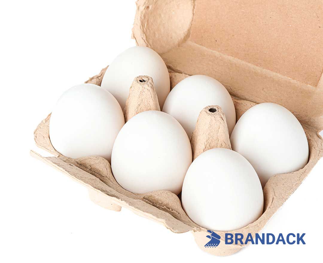 Custom Printed Egg Box Cartons Bulk with Flat Tray Packaging