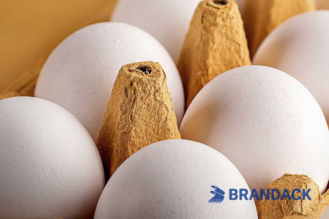 Custom Printed Egg Box Cartons Bulk with Flat Tray Packaging
