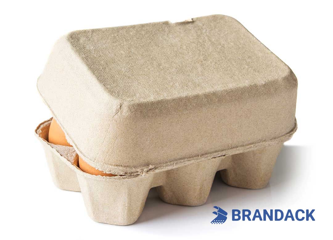 Custom Printed Egg Box Cartons Bulk with Flat Tray Packaging