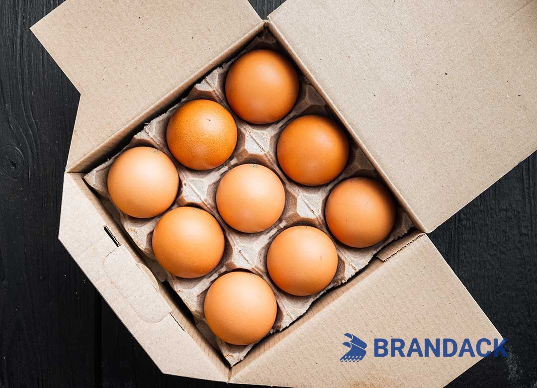 Custom Printed Egg Box Cartons Bulk with Flat Tray Packaging