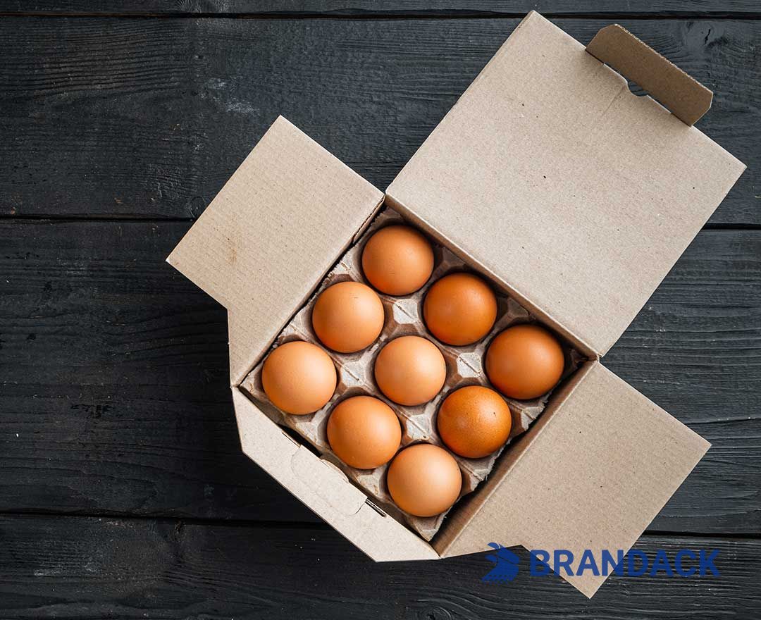 Custom Printed Egg Box Cartons Bulk with Flat Tray Packaging