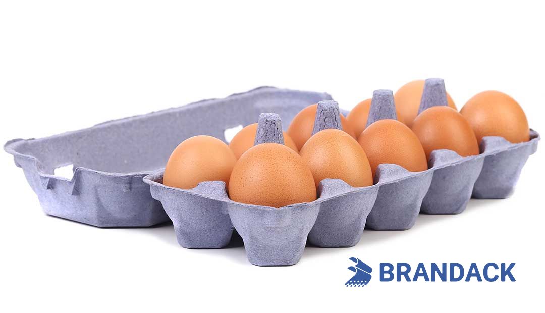 Custom Printed Egg Box Cartons Bulk with Flat Tray Packaging