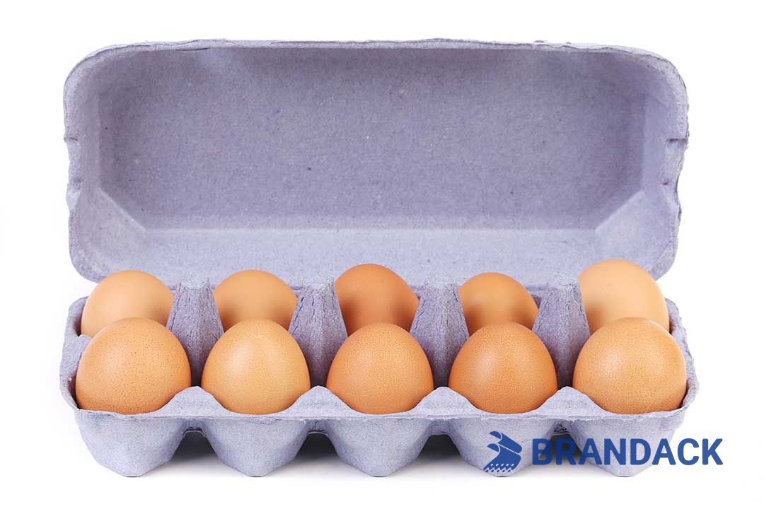 Custom Printed Egg Box Cartons Bulk with Flat Tray Packaging