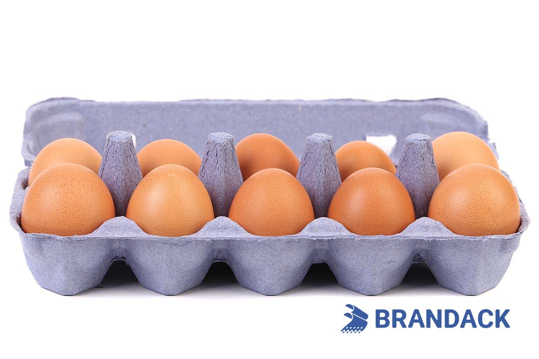 Custom Printed Egg Box Cartons Bulk with Flat Tray Packaging