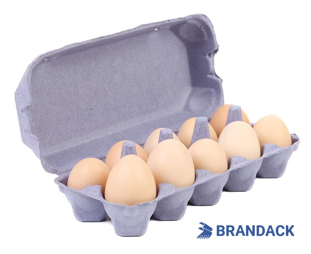 Custom Printed Egg Box Cartons Bulk with Flat Tray Packaging